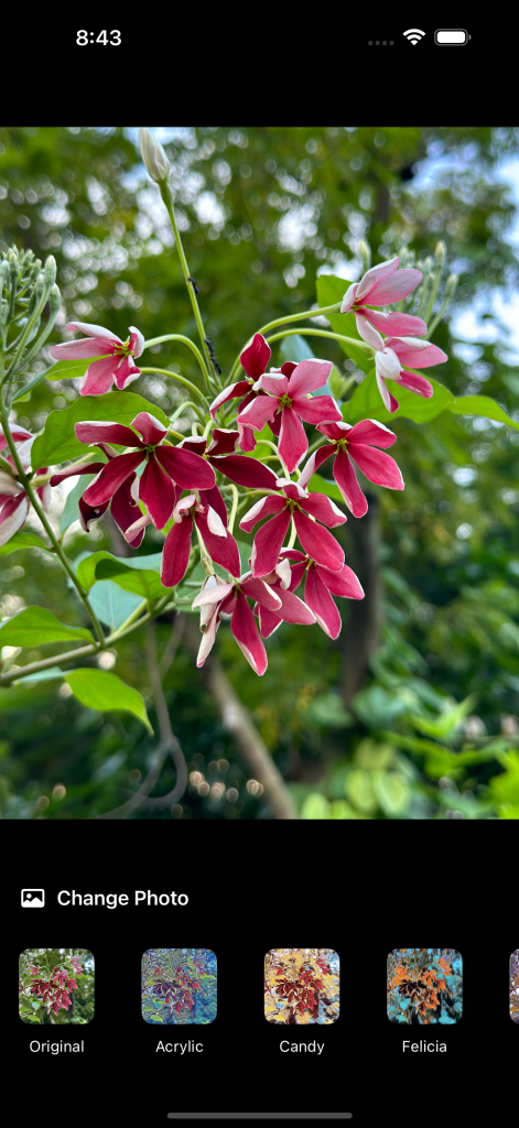 Simulator Screenshot - iPhone 16 Pro Max - 2024-10-18 at 08.43.21